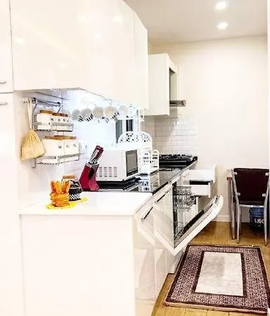 Centrally Located 3+1 Flat In Sisli, W/ Lift & Ac Provincia di Istanbul